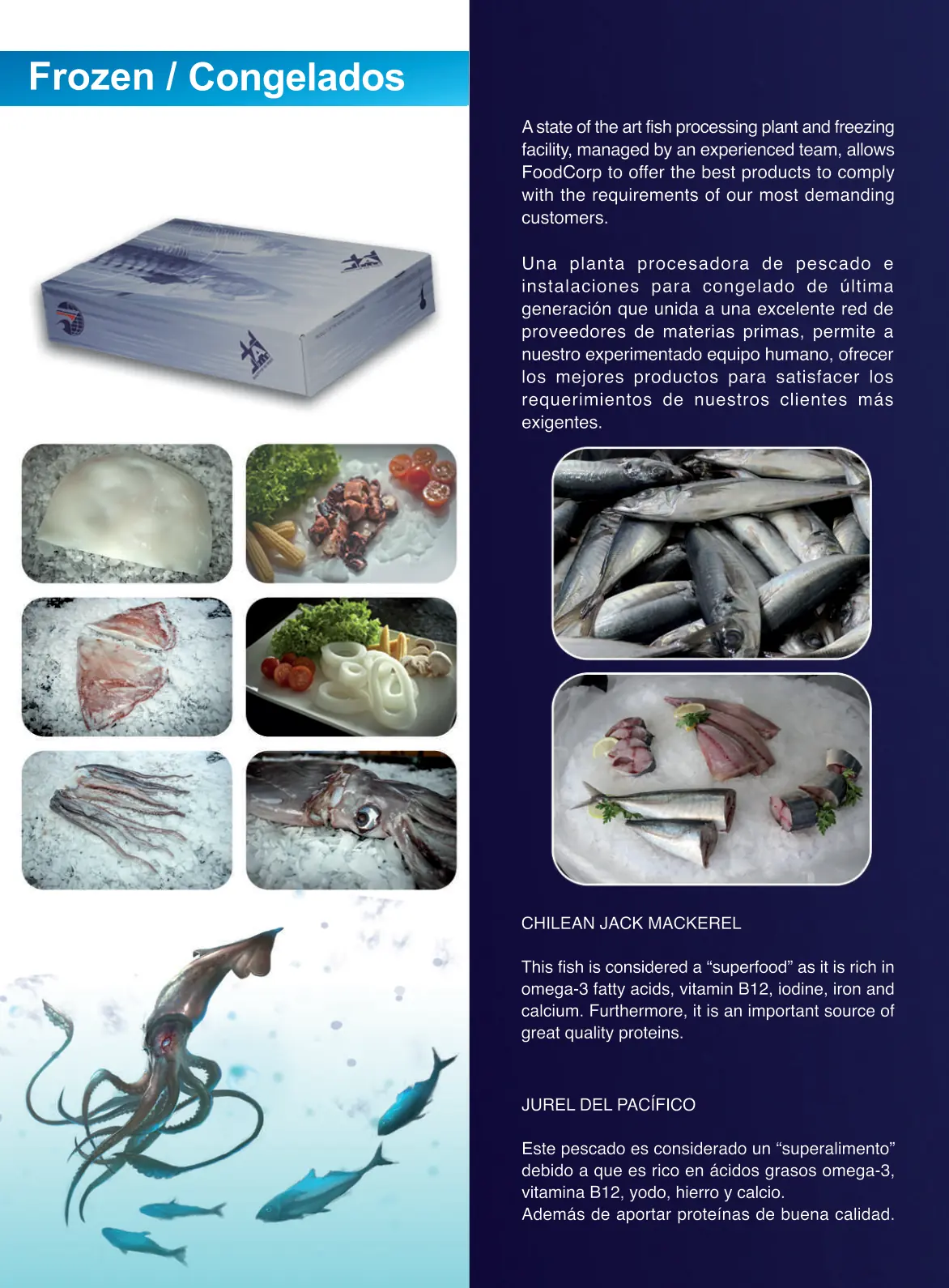 Tiefgefrorene Riesenkalmar-Filets, Tentakel und Ringe — FoodCorp Chile Export-Schnitte